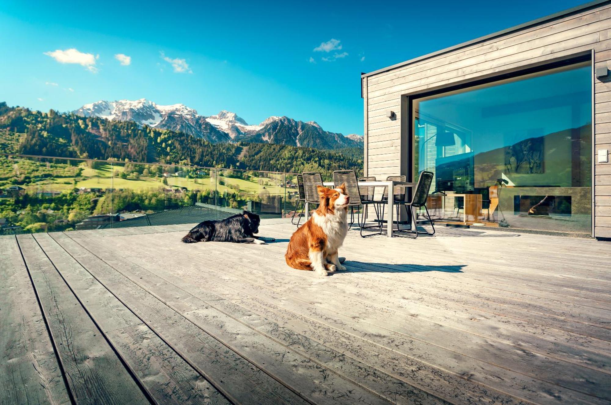 Chalets Coburg Schladming Oda fotoğraf